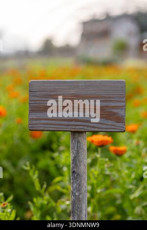Insegna di legno vuota, tavolozza verde mandarino ocra, bokeh da giardino fiorito, mockup segnaletica esterna, sfondo naturale rustico Foto Stock