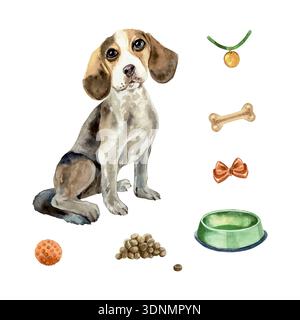 Cane Beagle seduto accanto a una ciotola, cibo, ossa, giocattoli e un fiocco. Illustrazione ad acquerello disegnata a mano. Clip art vettoriale per carte, inviti, etichette alimentari Illustrazione Vettoriale