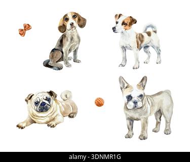 Set per cani, cucciolo, beagle, Jack Russell terrier, bulldog francese. Illustrazione ad acquerello disegnata a mano. Clip art vettoriale per cartoline, etichette alimentari e giocattoli Illustrazione Vettoriale