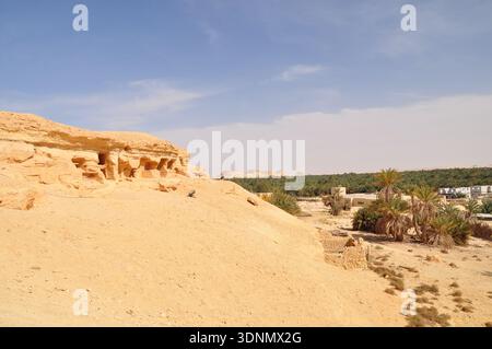 Scogliera del deserto che si affaccia su un villaggio di oasi e palmeti in Egitto Foto Stock