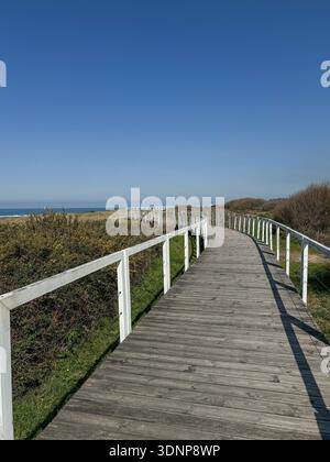 Passerella costiera in legno lungo il Camino de Santiago in Portogallo con percorso curvo che conduce attraverso le dune verso l'orizzonte Atlantico. Viaggi, all'aperto Foto Stock