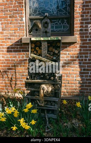 L'hotel degli insetti sorge di fronte ad un edificio in mattoni con fiori gialli che crescono intorno ad esso in una giornata di sole. Foto Stock