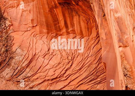 Arenaria erosa con strisce di vernice del deserto nel sud-est dello Utah. Foto Stock
