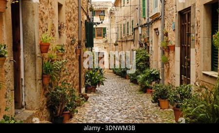 Stretta strada acciottolata a Valldemossa con case rustiche in pietra e persiane verdi. Tradizionale vicolo del villaggio di Maiorca decorato con piante in vaso Foto Stock