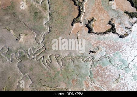 Vista aerea che cattura la bellezza incontaminata delle vaste zone umide della Cantabria. Gli intricati schemi di acqua e terra creano una miscela armoniosa di nat Foto Stock