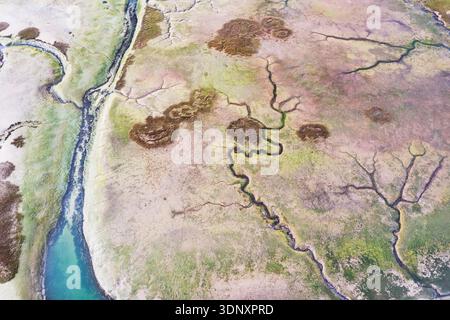 Fotografia aerea che mostra gli intricati schemi delle zone umide della Cantabria, con tortuosi corsi d'acqua e macchie di vegetazione che creano un'accattivante n Foto Stock