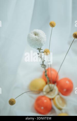 Una delicata esposizione con un fiore bianco circondato da piccoli fiori gialli. Limoni e arance aggiungono un contrasto vibrante al morbido tessuto bianco bac Foto Stock