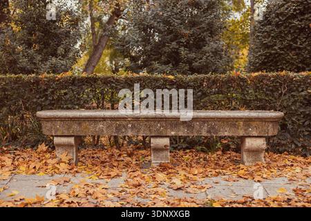 Primo piano di una panchina di pietra intemprata in un tranquillo parco, circondato da foglie autunnali asciutte e cadute. La scena evoca un'atmosfera tranquilla e riflessiva Foto Stock
