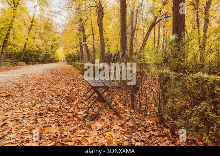 Parco tranquillo in autunno, con panchina in mezzo a foglie secche cadute. Il sentiero è fiancheggiato da alberi vibranti che mostrano un brillante fogliame autunnale, ca Foto Stock
