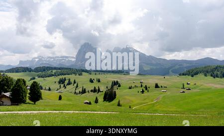Vista panoramica mozzafiato sull'Alpe di Siusi, sull'Alpe di Siusi, sulle Dolomiti, in Italia. Prati lussureggianti con cabine sparse e montagne torreggianti Foto Stock