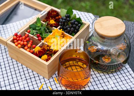 Un rinfrescante tè fatto in casa con foglie di menta, fiori di calendula, calendule, viburnum rosso e bacche nere di rowan. Perfetto per un aroma naturale Foto Stock