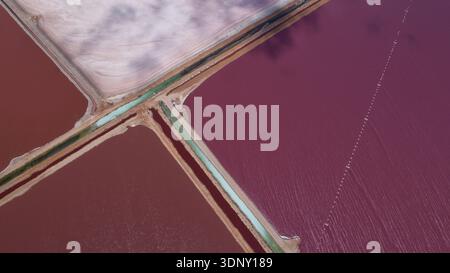 La vista aerea degli stagni di sale rosa e rosso crea uno splendido mosaico di colore, diviso da stretti canali verdi, Yallabatharra, Australia Occidentale, Australi Foto Stock