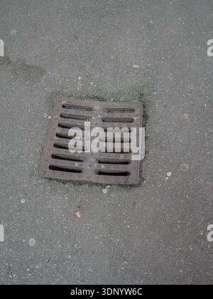 Tombino che mostra una griglia metallica scanalata con piccole piante verdi che emergono da sotto, evidenziando le infrastrutture urbane per il deflusso dell'acqua in una città Foto Stock