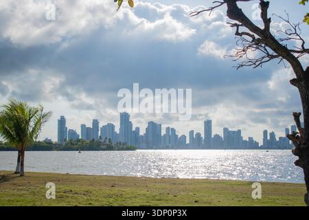 Una vista panoramica del moderno skyline del quartiere Bocagrande a Cartagena, Colombia. I grattacieli bianchi sono visibili attraverso la baia, incorniciati da t tropicali Foto Stock