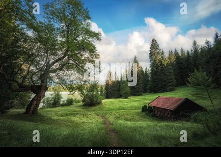 Paesaggio verde idilliaco con un fienile e soffici nuvole nel cielo blu vicino a un lago bavarese Foto Stock