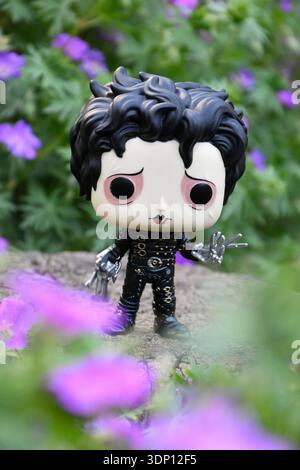 Funko Pop action figure di Edward Scissorhands dal film fantasy di Tim Burton. Fiori viola nel verde del giardino di primavera. Foto Stock