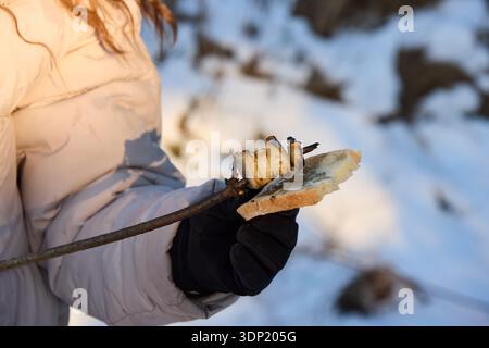 Questa immagine cattura una vista ravvicinata della pancetta grigliata spiedata su un bastone, presentata con un pezzo di pane, su uno sfondo innevato. La persona ha Foto Stock