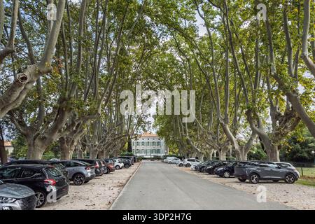 Un grande viale alberato in Provenza caratterizzato da una strada asfaltata fiancheggiata da alti platani e auto parcheggiate, che conduce verso un tradizionale bastide francese Foto Stock