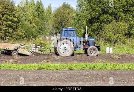 Vecchio trattore agricolo a ruote che lavora alla piantagione di patate in autunno. Raccogliendo patate biologiche sul campo Foto Stock