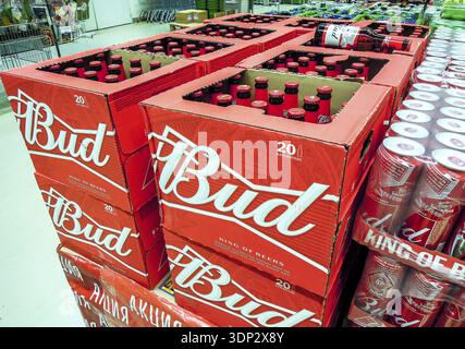 Samara, Russia - 16 marzo 2020: Birra alcolica a bocciolo in bottiglie di vetro pronte per la vendita sullo scaffale del superstore. Varie bevande alcoliche in bottiglia Foto Stock