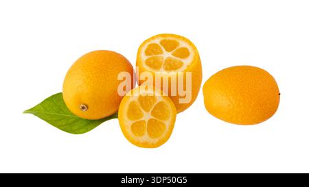 Kumquat dolce e aspro, agrumi crudi freschi interi e tagliati a fette con foglie isolate su sfondo bianco. Frutta esotica tropicale. Foto Stock