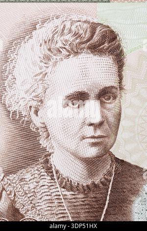 Marie Sklodowska Curie un ritratto da vicino dai soldi polacchi - Zloty Foto Stock