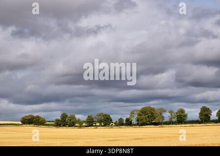 Nuvole tempestose su un campo di grano raccolto nella campagna del Dorset vicino a Moor Crichel, nel Dorset Foto Stock