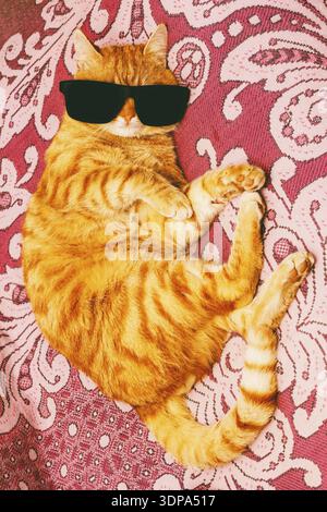 Gatto rosso in vetri neri giacenti sul divano Foto Stock