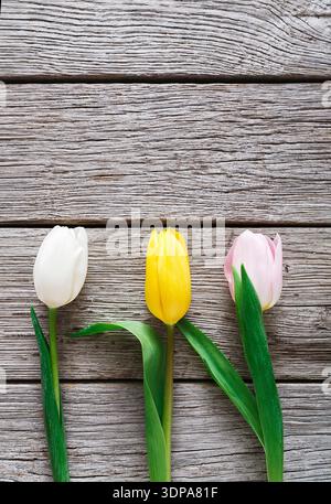 Tulipani colorati disposti su un tavolo di legno che mostra i fiori primaverili in un ambiente naturale Foto Stock