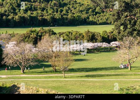 Primavera all'Halswell Quarry Park, Christchurch, nuova Zelanda. Foto Stock
