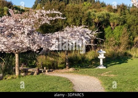 Primavera all'Halswell Quarry Park, Christchurch, nuova Zelanda. Foto Stock