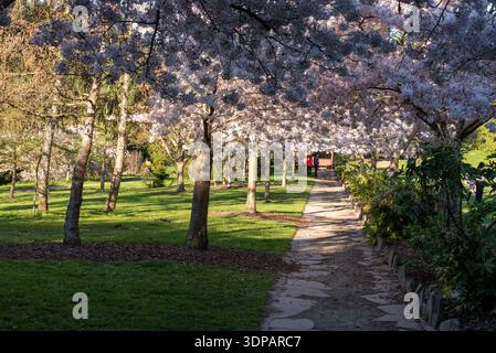Primavera all'Halswell Quarry Park, Christchurch, nuova Zelanda. Foto Stock