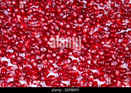 Semi di melograno da primo piano su sfondo bianco, archi lucidi densamente confezionati, studiolit, a contrasto elevato, con una consistenza succosa e vivaci tonalità di rosso, i Foto Stock