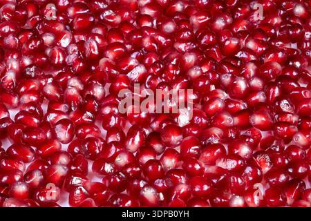 Ingrediente semi di melograno brillante vista dettagliata, arils luccicanti pronti per ricette atmosfera gourmet consistenza fresca proposta di decorazione vibrante Foto Stock