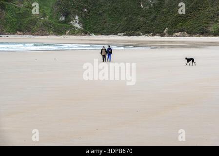 Una coppia gode di una tranquilla passeggiata sull'ampia e tranquilla spiaggia di Torimbia sulla costa asturiana nel nord della Spagna Foto Stock