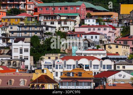 A St George's, Grenada, Windward Islands, Caribbean Island a dicembre Foto Stock