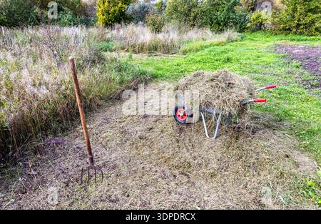 Il fieno è impilato su un carro da giardino in un giorno d'estate. Un forcone è bloccato nel terreno. Foto Stock
