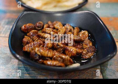 Tradizionale pupae di bachi da seta bollite Beondegi con cibo di strada coreano in una ciotola nera Foto Stock