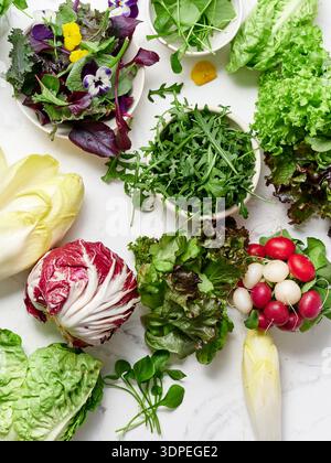 Una selezione di lattughe e verdure e' allestita su un ripiano in marmo in una cucina. Radicchio fresco, romaina, rucola, cicoria e radiaci sono pronti Foto Stock