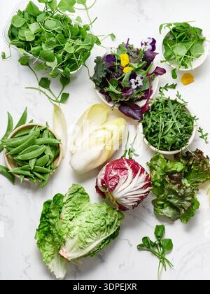 Lettucce e verdure fresche sono esposte su un ripiano in marmo in una cucina. La selezione include diversi tipi di verde e fiori commestibili per Foto Stock