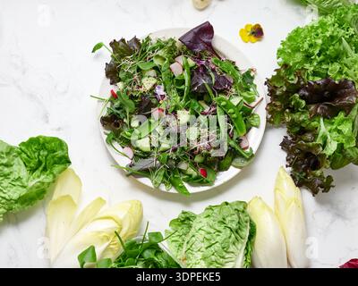 Un piatto contiene un mix di lattuga appena tagliata, piselli verdi, cetrioli e ravanelli. L'ambiente presenta uno sfondo in marmo con verdi posizionati intorno a. Foto Stock
