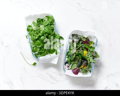 Diversi tipi di lattughe vengono visualizzati in contenitori su un piano di appoggio in marmo. Le verdure fresche includono radicchio, romaine, rucola e molto altro. Ideale per Foto Stock