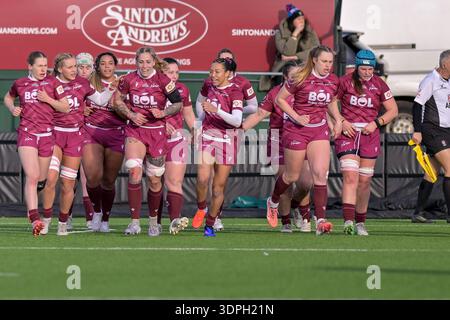 Londra, Regno Unito. 14 febbraio 2026. Azione della partita Trailfinders Women vs Sales Sharks per l'11° round del PWR al Trailfinders Rugby Club. Crediti: Silvina Brodersohn/Viva in Focus/Alamy Live News Foto Stock