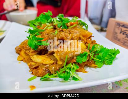 il manzo salato saltato e condito con coriandolo vibrante Foto Stock