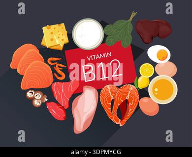 Cibo ricco di vitamina essenziale B12 - illustrazione di scorta come file EPS 10 Illustrazione Vettoriale