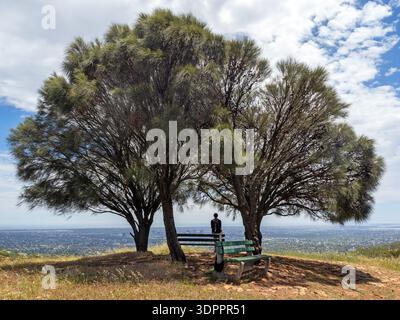 Vista sulla piana di Adelaide dal Pan di zucchero, il Parco Nazionale di Cleland Foto Stock