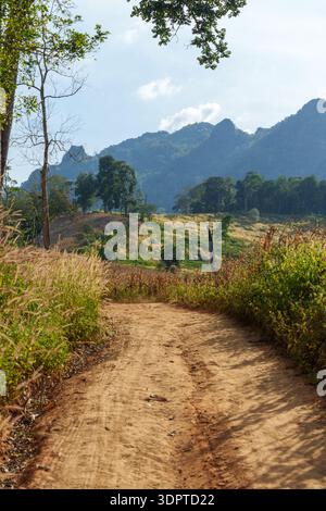 Una strada sterrata si snoda attraverso campi erbosi e alberi verso montagne boschive sotto un cielo limpido di giorno. Foto Stock