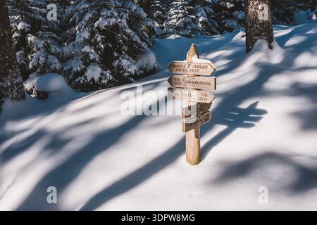 L'insegna si trova nella neve fresca nella foresta, nel Parco Nazionale di Acadia, Maine Foto Stock
