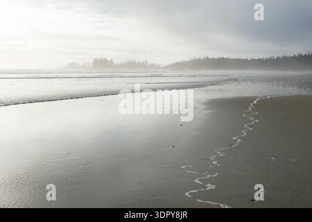 Durante la bassa marea sulla spiaggia di Wickaninnish, nella riserva del Pacific Rim National Park, British Columbia, il parco espone un'immensa distesa di sabbia piatta mentre le onde dolci si infrangono sulla sabbia Foto Stock