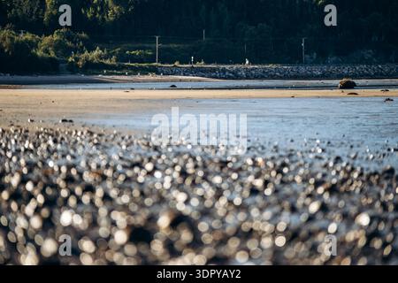 Paesaggi con bassa marea lungo le spiagge di Baie Sainte Catherine con coste sabbiose e ciottolate, acque basse e calme, rocce sparse e colline boscose Foto Stock